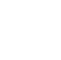 Icon Ziele Umweltschutz V03 2 Blätter als Icon für Umweltschutz-Ziele
